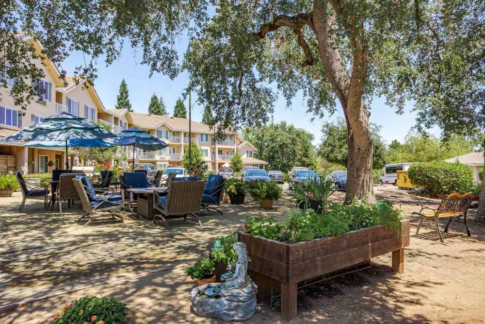 Outdoor space at Truewood by Merrill, Roseville in Roseville, California