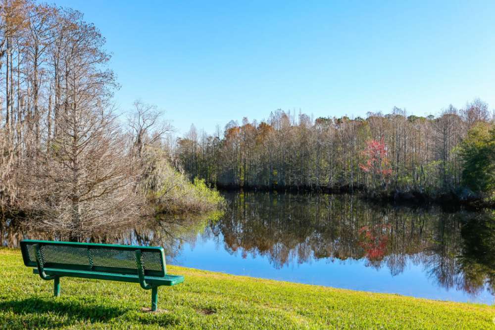 Serene lake view with bench near Highpoint Club in Orlando, Florida