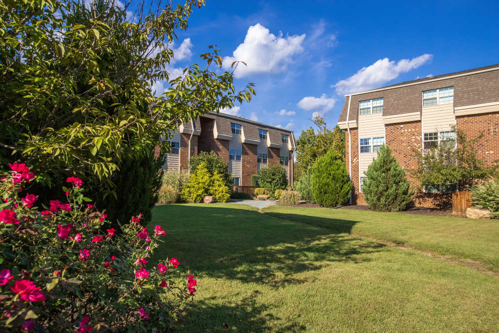 Pink flowers in green grass with buildings at Collins Crossing Apartments in Carrboro, North Carolina