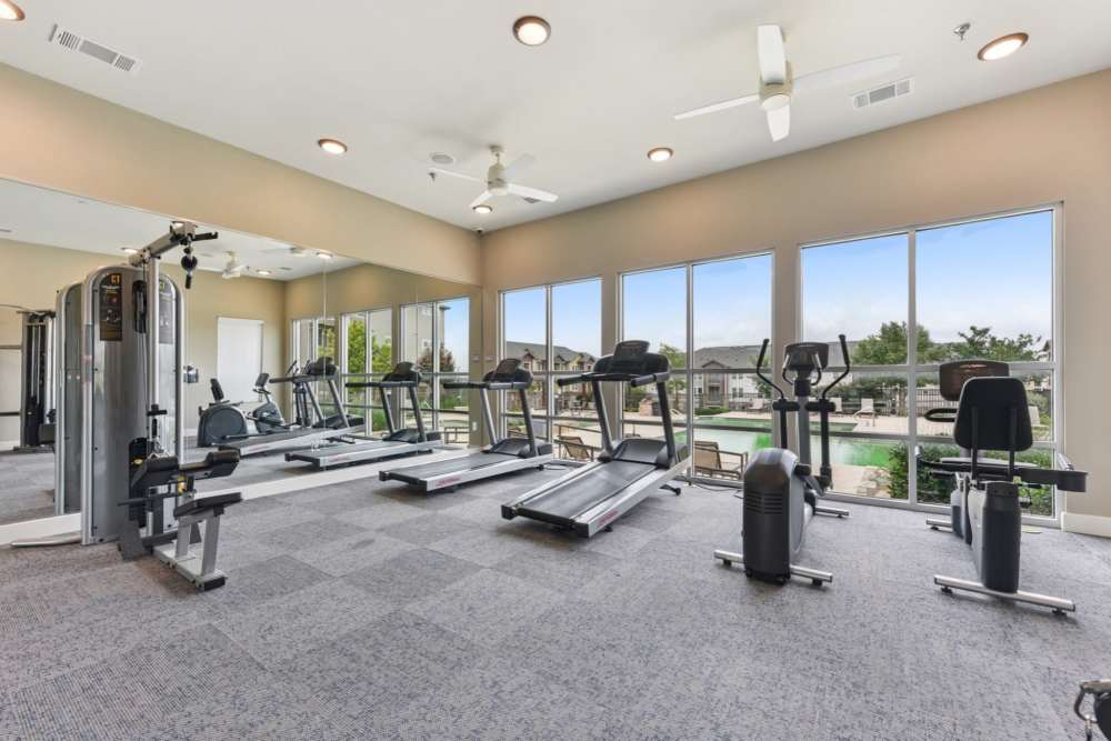 Fitness center with exercise equipment and large windows at McKinney Falls Apartments in Austin, Texas