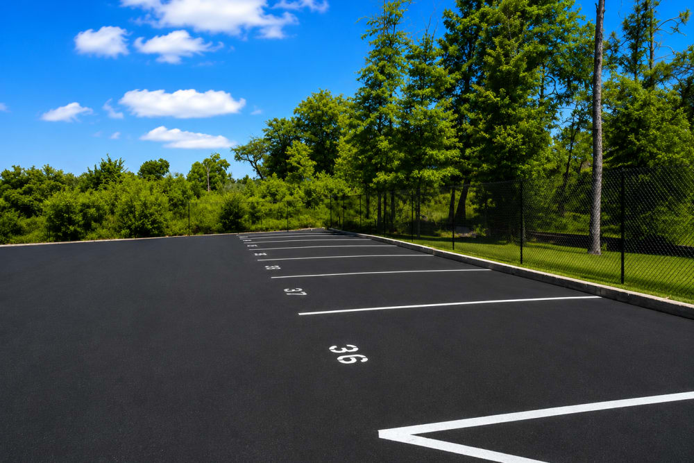 Empty parking spaces bordered by trees and chain-link fence at Your Storage Units Panama City in Panama City, Florida