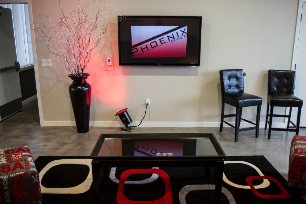 Black vase with branches and a tv at Phoenix On The Fax in Denver, Colorado