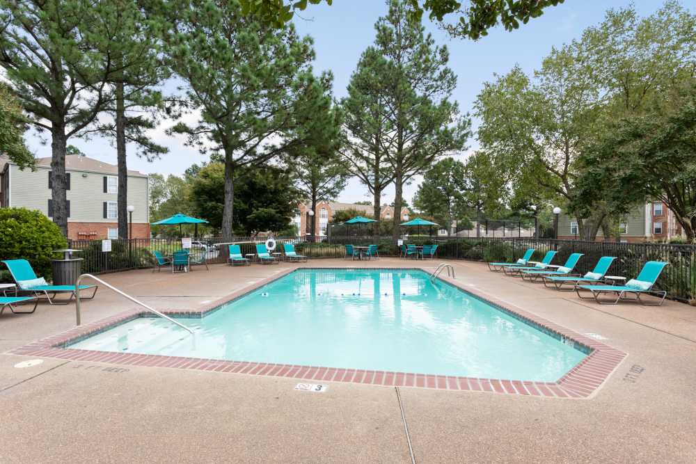 Tall trees surrounding a swimming pool at Stonebridge Crossing Apartment Homes in Cordova, Tennessee