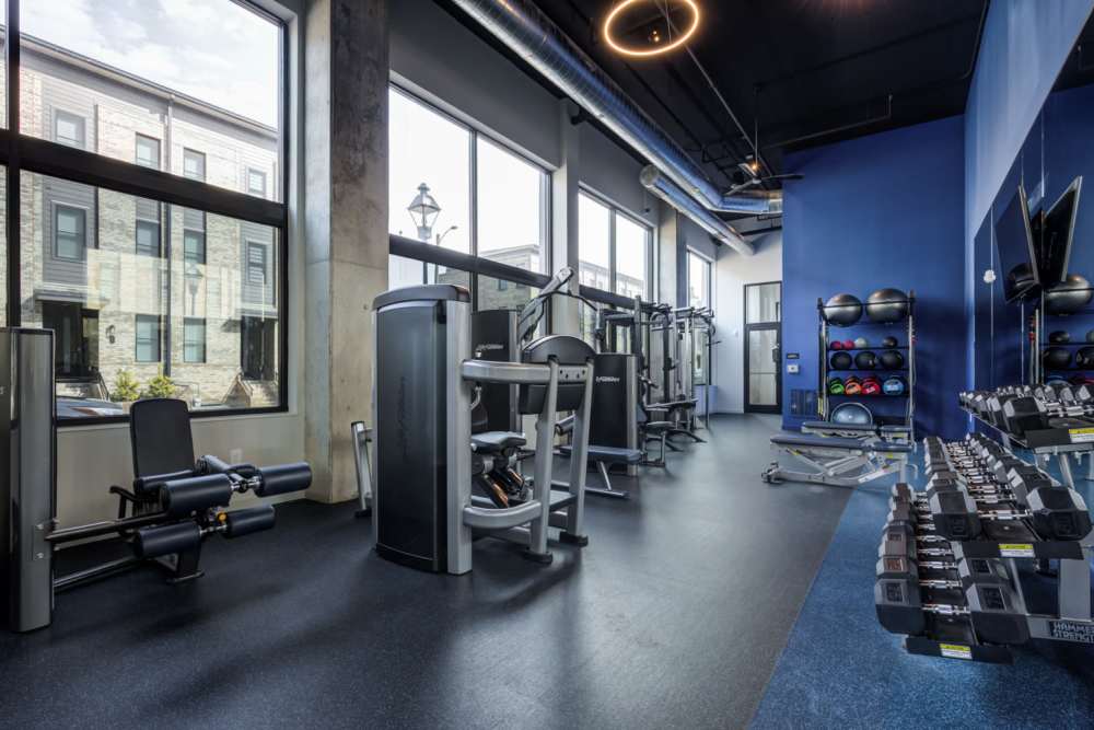 Weights arranged on a rack at Eddy on the James in Richmond, Virginia