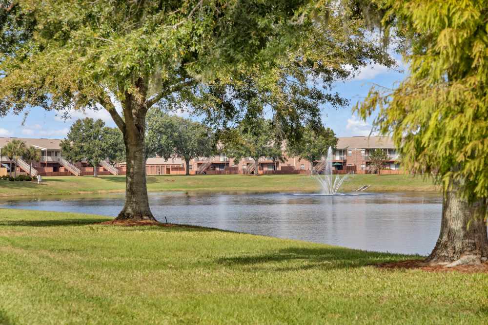 lake view