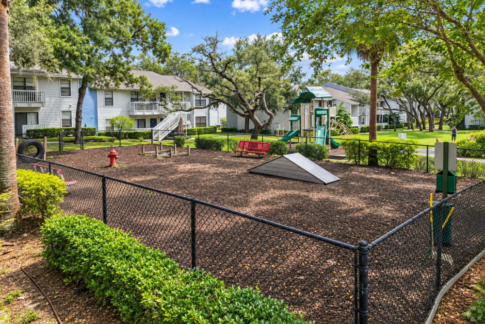 dog park