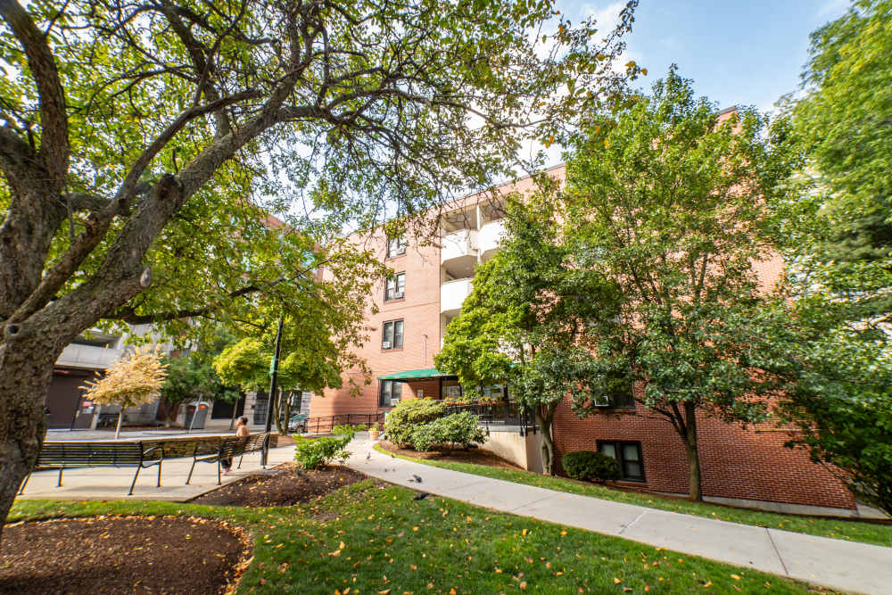 Apartment building with multiple windows and trees in front at Burbank Garden Apartments in Boston, Massachusetts