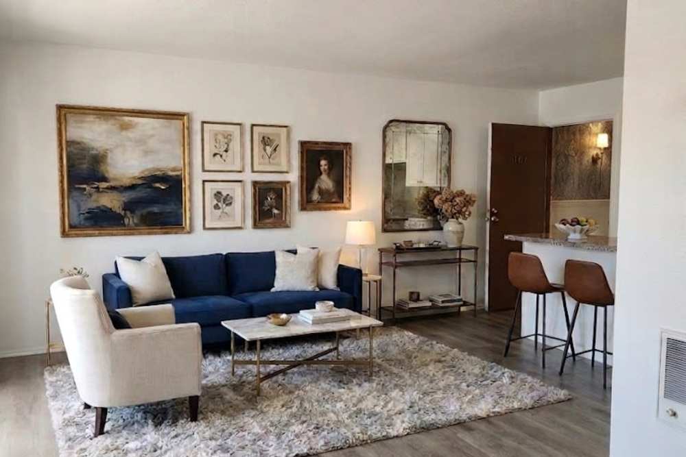 Studio Living Space