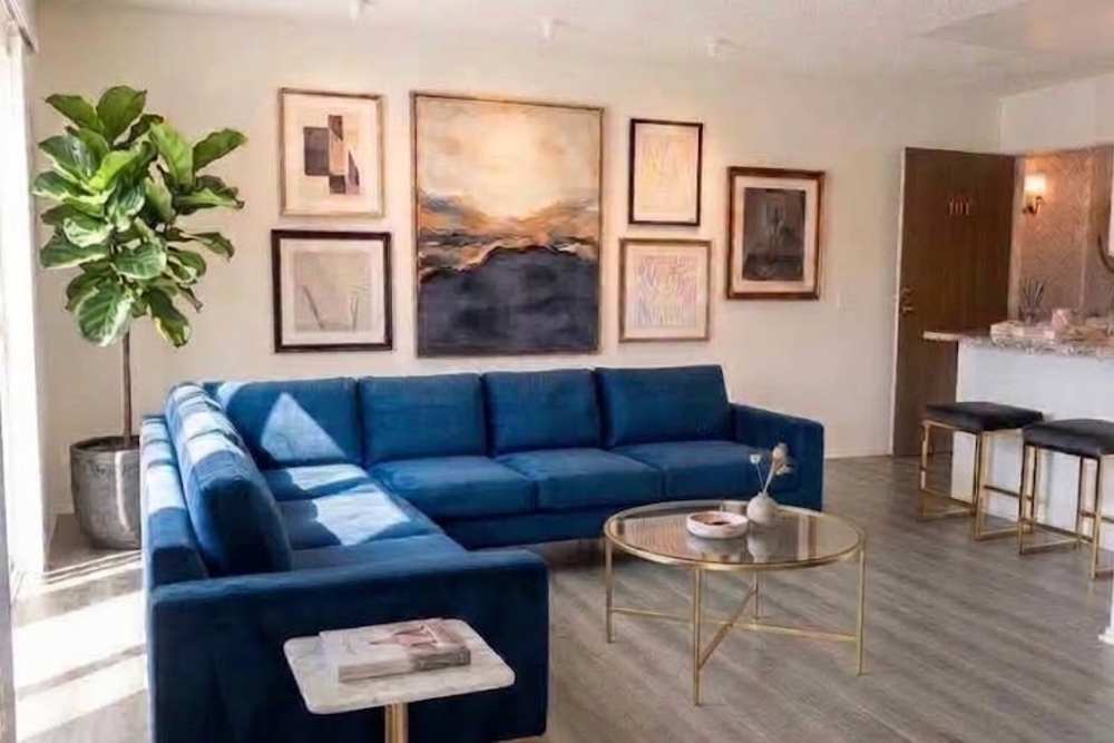 Studio Living Space