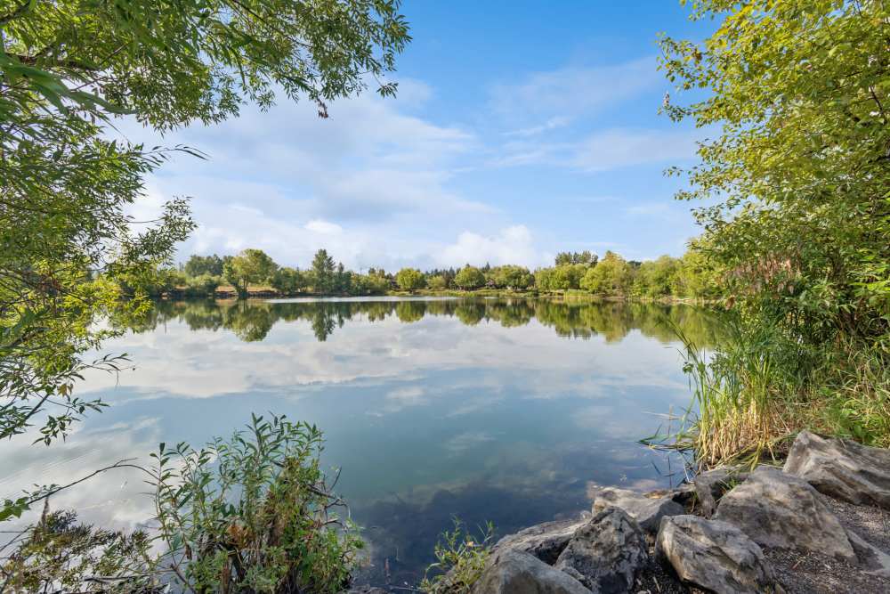 Lake view with surrounding trees and blue sky at Fieldstone in Fairview, Oregon.