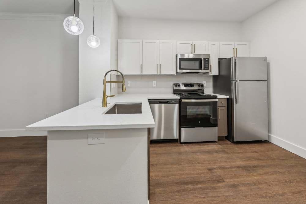 A1Q Apartment Home with Quartz Countertops and Premium Finishes