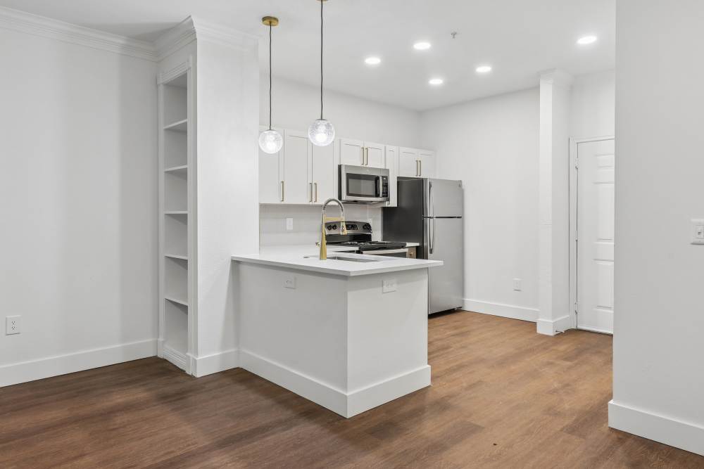 A1Q Apartment Home with Quartz Countertops and Premium Finishes