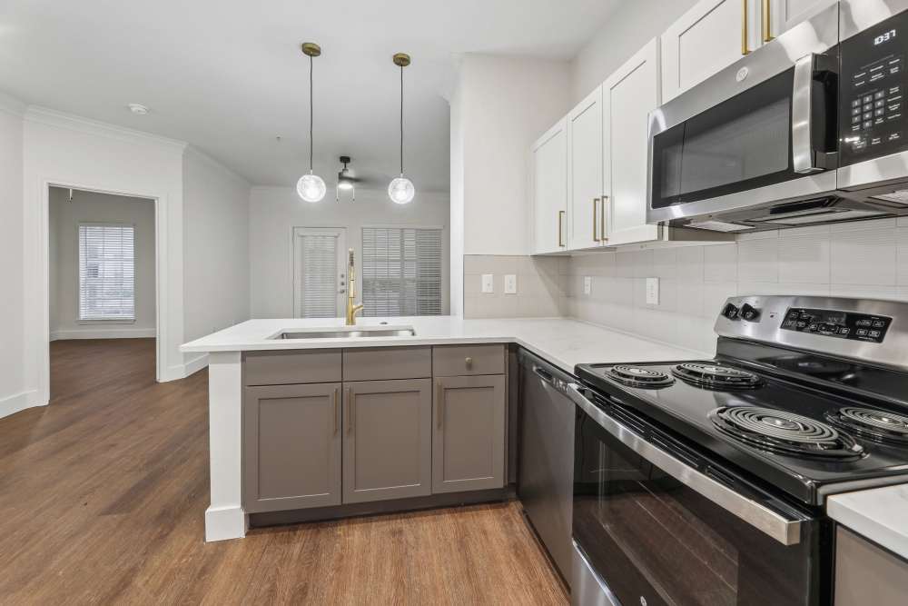 A1Q Apartment Home with Quartz Countertops and Premium Finishes