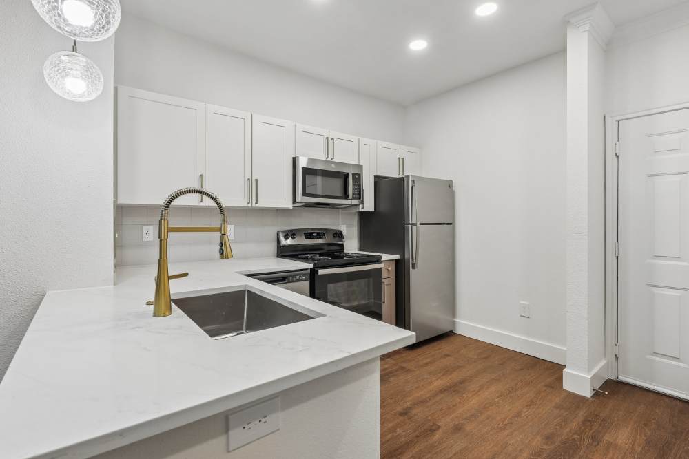 A1Q Apartment Home with Quartz Countertops and Premium Finishes