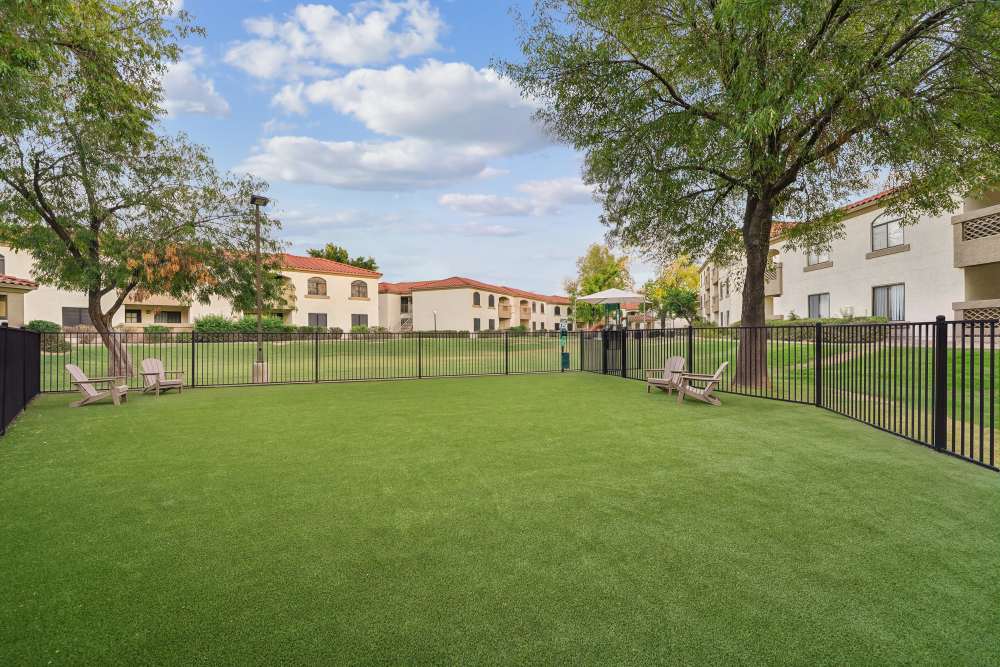dog park at Calista in Scottsdale, Arizona