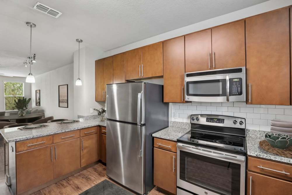 Townhouse Kitchen with stainless-steel appliances at Circa at Fishhawk Ranch in Lithia, Florida
