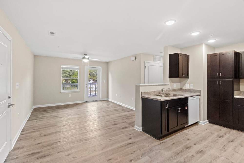 Living room and kitchen view
