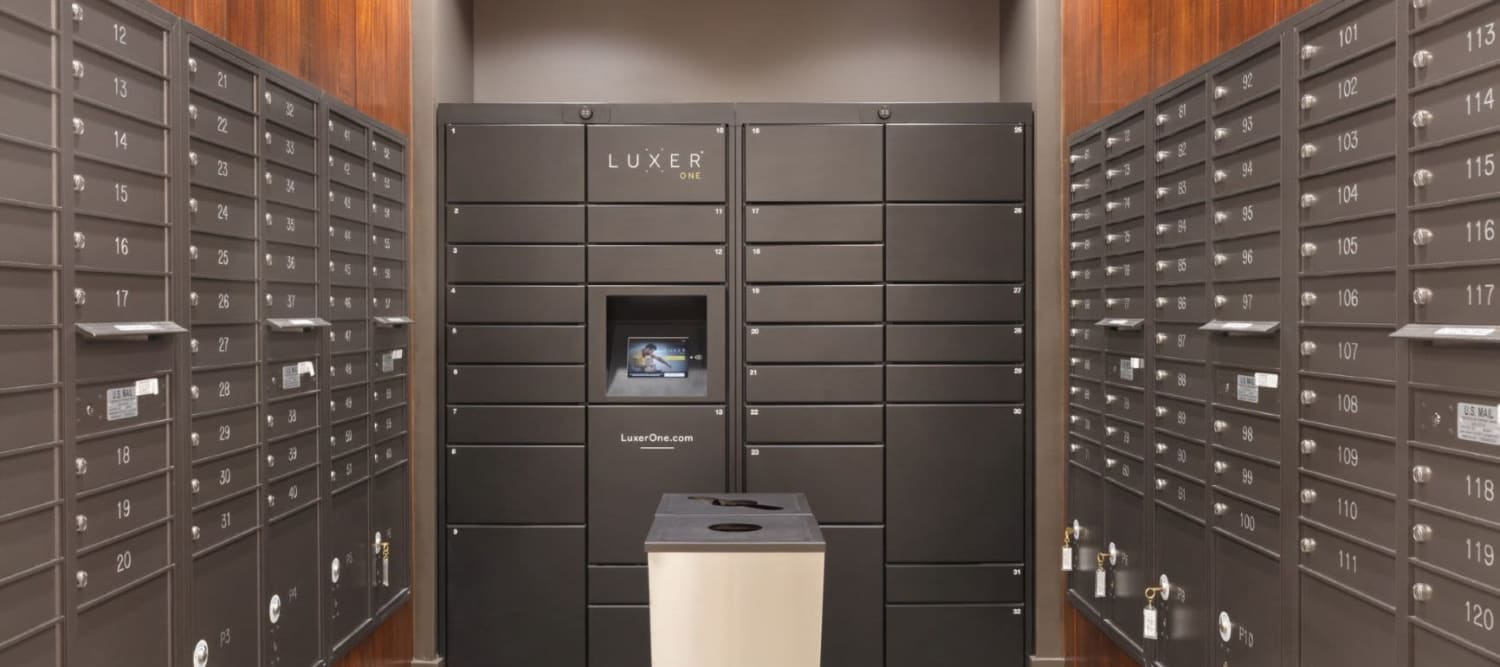 Mail Room with Package Lockers at Sparq