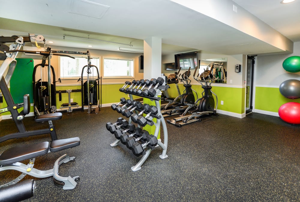 Equipped fitness center at Cedar Creek Apartment Homes in Glen Burnie, Maryland.