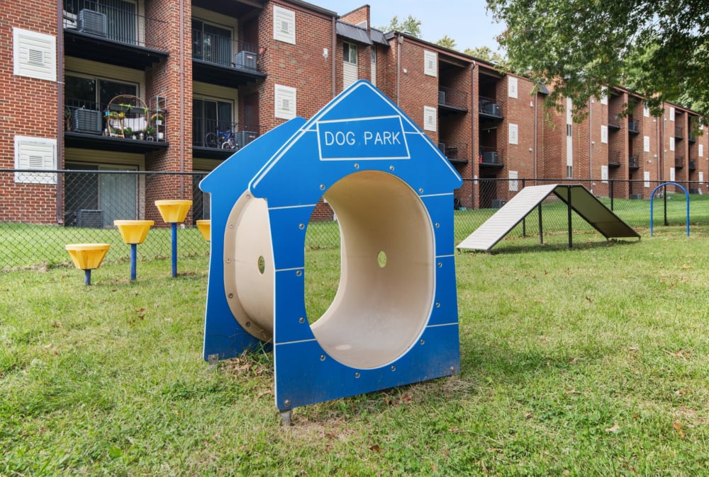 Dog park at Taylor Park Apartment Homes  in Nottingham, Maryland