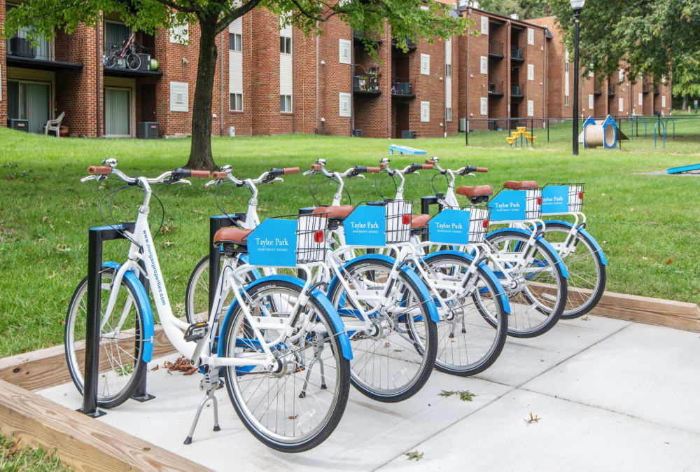 Bike share at Taylor Park Apartment Homes  in Nottingham, Maryland