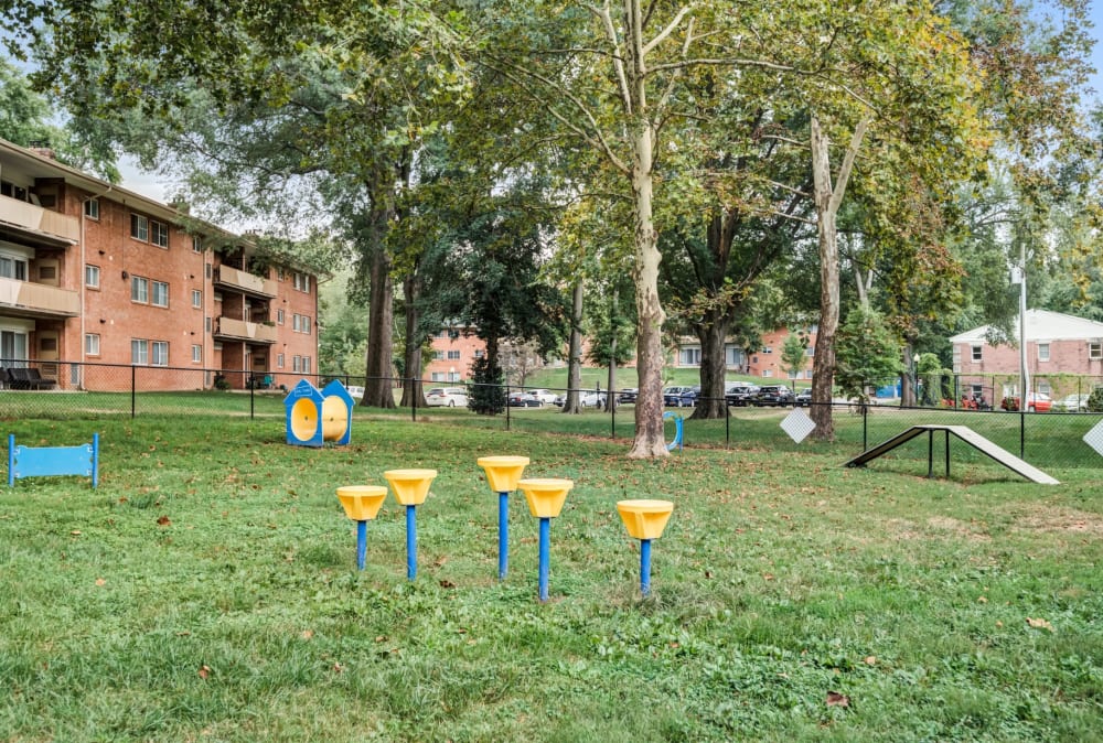 Dog park with agility equipment at Lynbrook at Mark Center Apartment Homes in Alexandria, Virginia