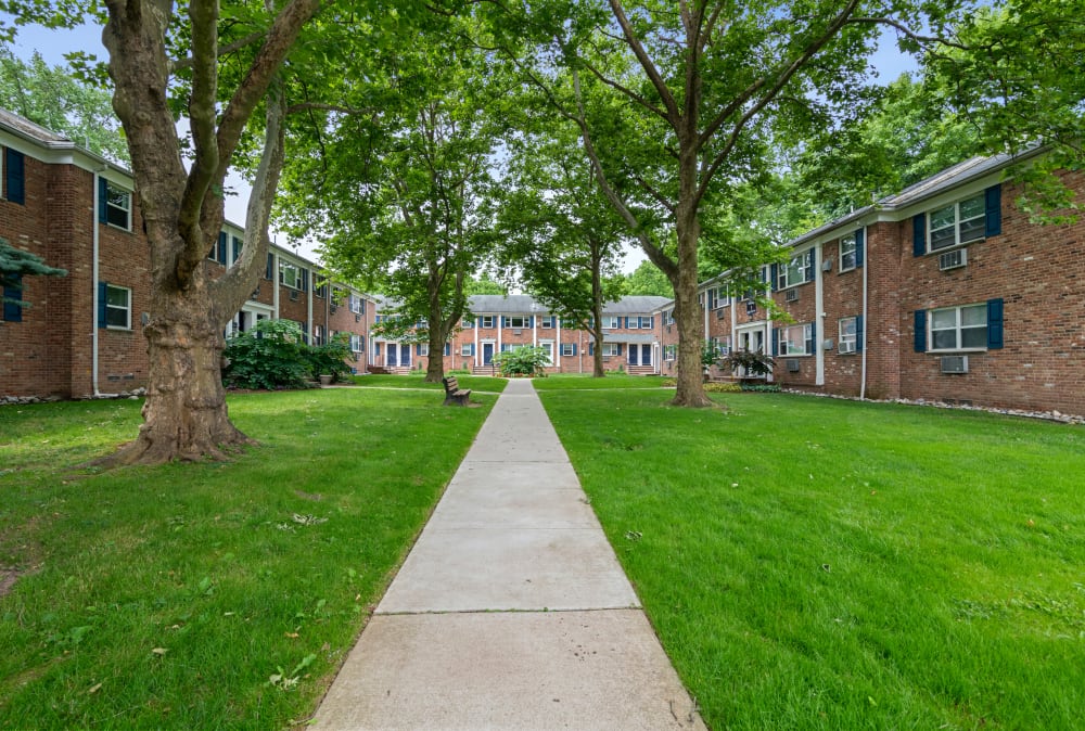 Courtyard with tall trees at Duncan Hill Apartments in Westfield, New Jersey