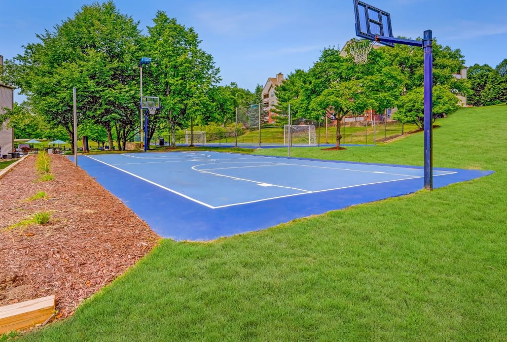 Blue basketball court at Club at North Hills in Pittsburgh, Pennsylvania