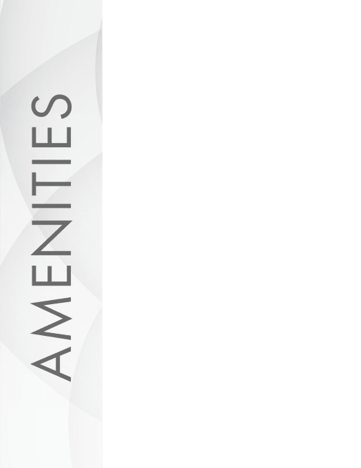 Link to amenities at Amira at Westly in Tampa, Florida