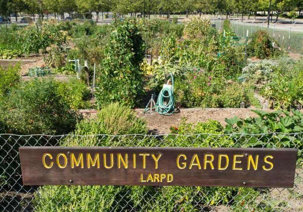 Community gardens at La Vina Apartments in Livermore, California