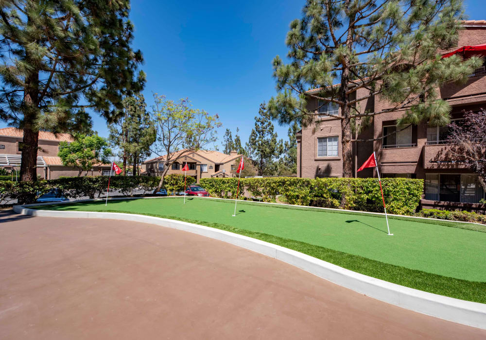 Miniature Golf