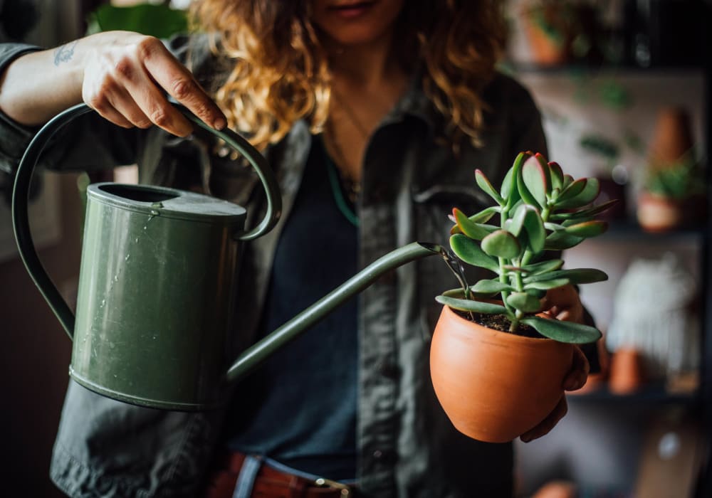 Woman watering her plant at Brookside Apartments in Edgewood, Maryland