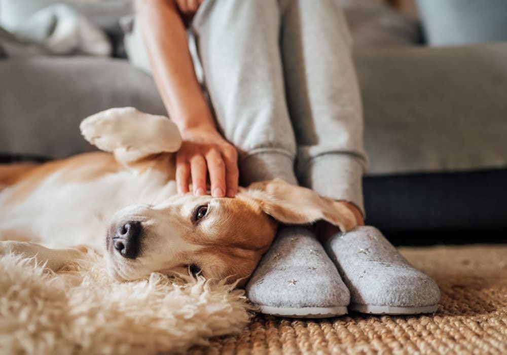 Resident and pet at Glenburn Apartments in Cambridge, Maryland