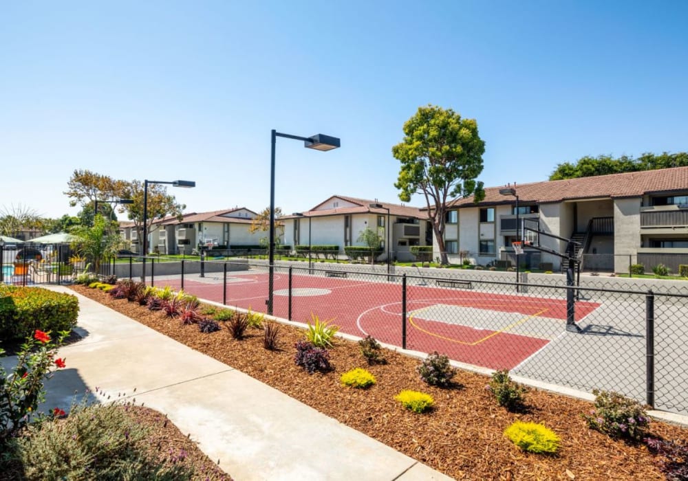 Walkways and basketball court at Cassia Apartments apartment homes in Santa Maria, California
