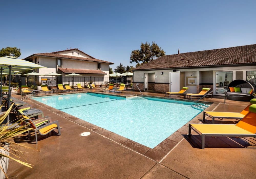 In-ground pool with lounge chairs at Cassia Apartments in Santa Maria, California