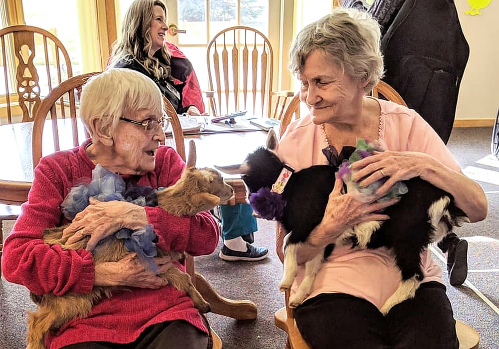 Residents spending time with baby goats at Wellington Place at Hartford in Hartford, Wisconsin