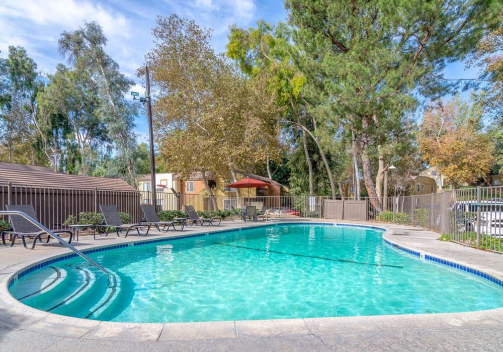Swimming in pool atSycamore Canyons Apartments apartment homes in Riverside, California