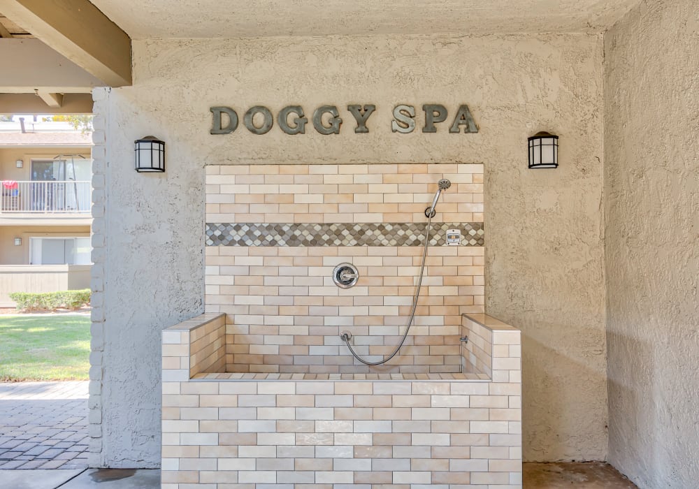 doggy spa at Strada Apartments in Orange, California