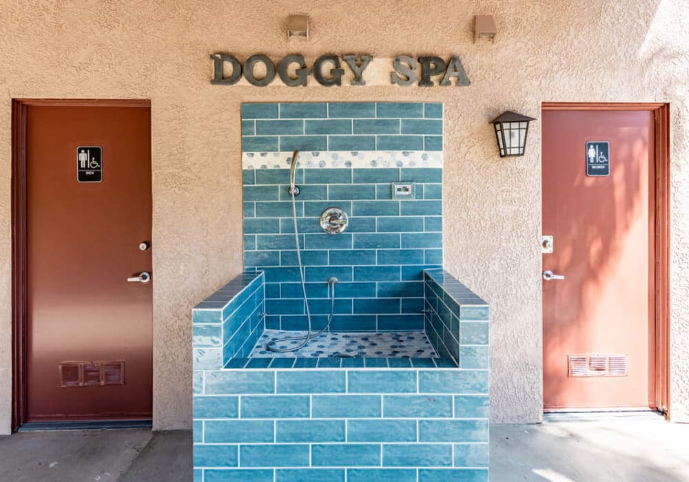 doggy spa at Bay Breeze in Costa Mesa, California