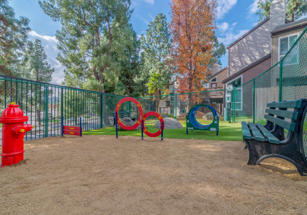 Dog park at Canyon Crest Views Apartments apartment homes in Riverside, California