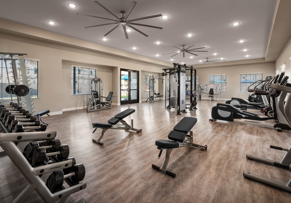 Modern fitness center with equipment at Las Casas at Windrose in Litchfield Park, Arizona