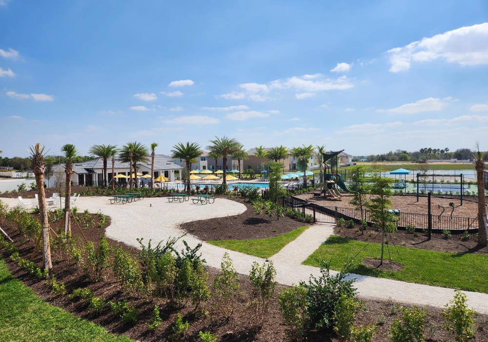 Outdoor amenities at Antigua at Lakewood Ranch in Lakewood Ranch, Florida