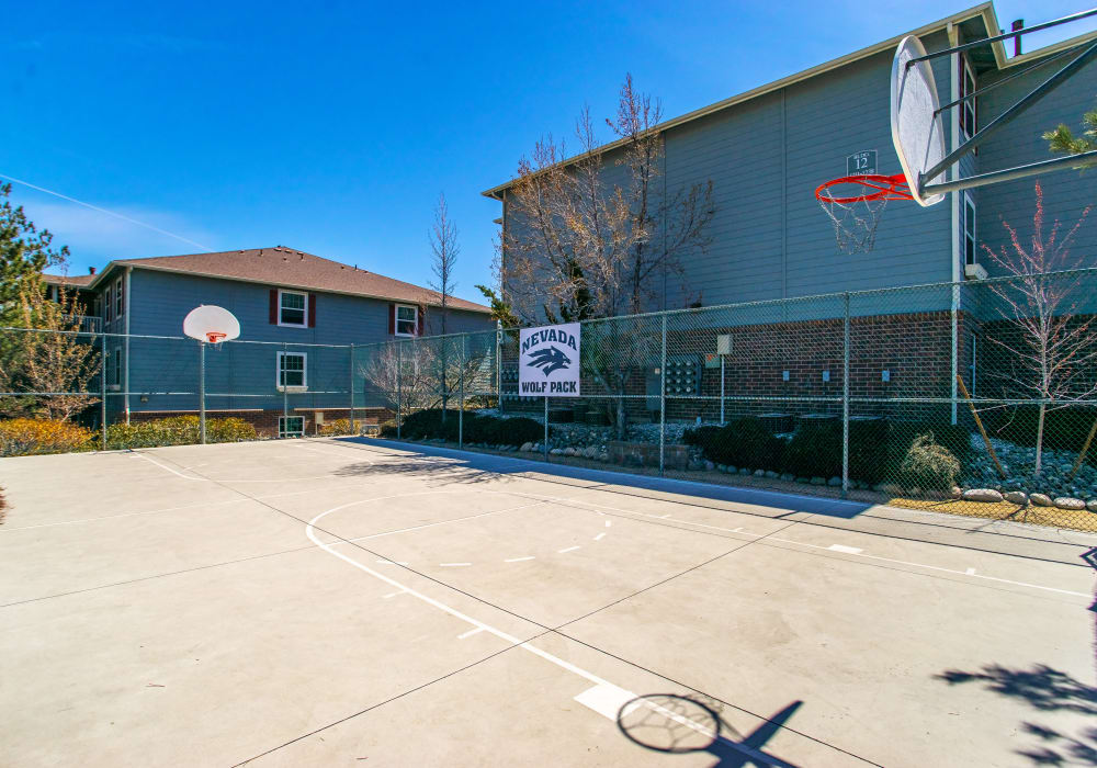 Outdoor basketball court at Vista Ridge in Reno, Nevada