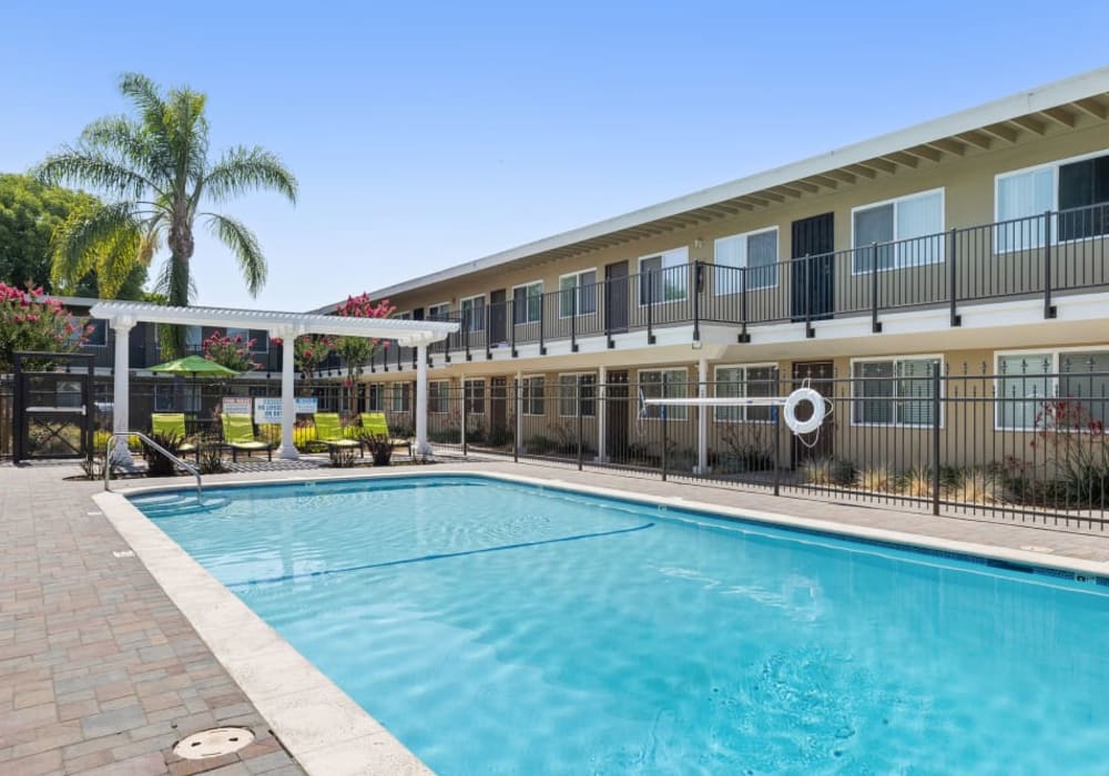 Swimming pool with a view of the apartment complex and palm tree at Coral Gardens Apartments in Hayward, California