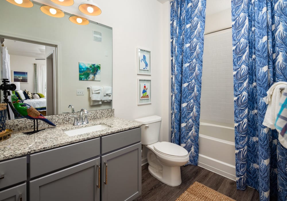 Full bathroom in apartment at The Iris at Northpointe in Lutz, Florida
