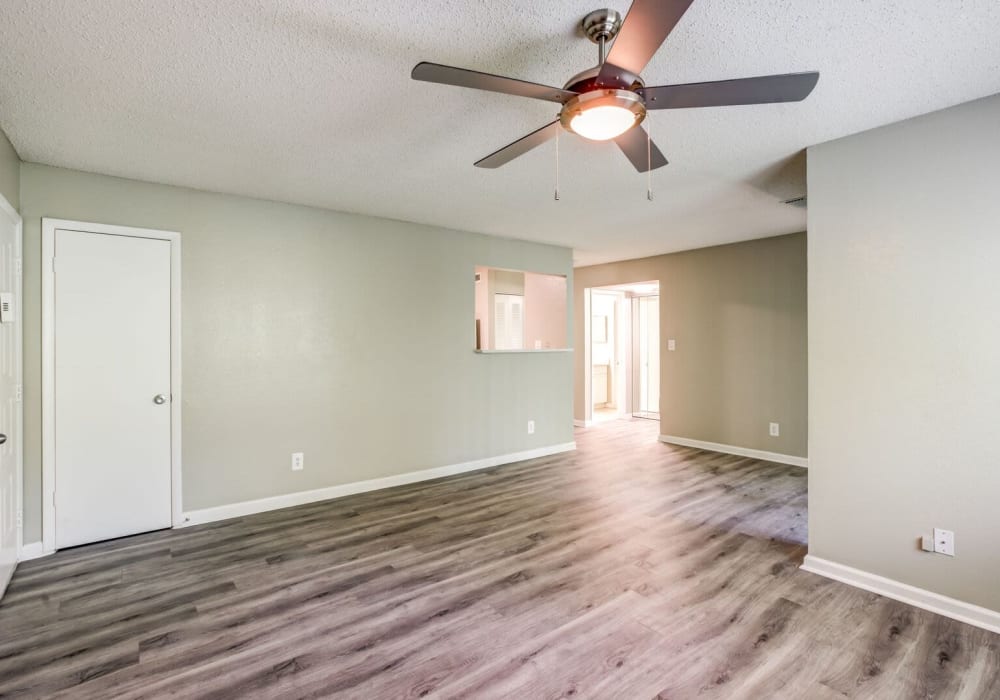Spacious apartment with hardwood floors and ceiling fan at Stone Creek in Tampa, Florida