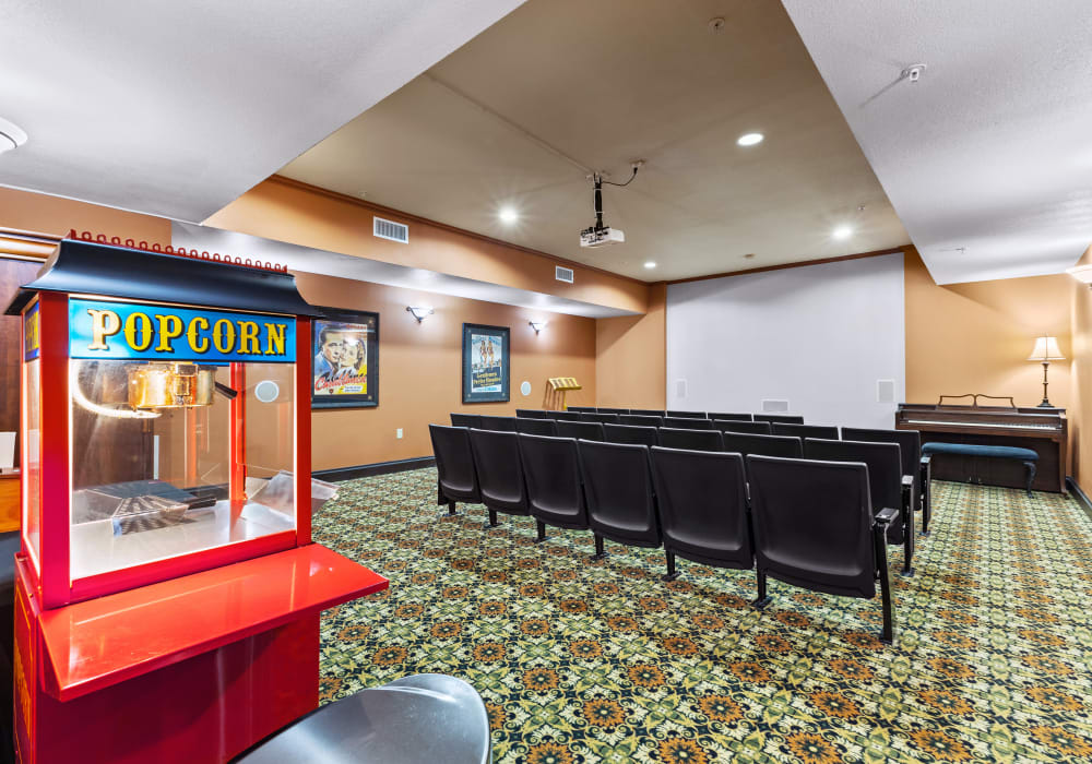 Theater room at Mariposa at Hunter Road in San Marcos, Texas