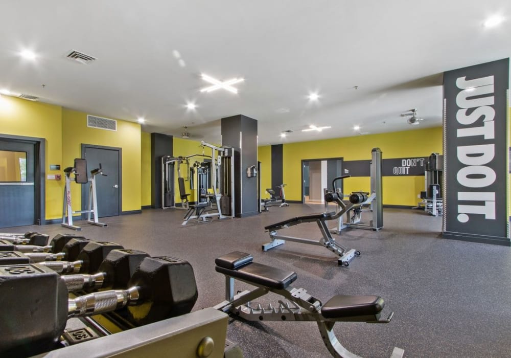 Large gym at Tribeca at Camp Springs in Camp Springs, Maryland