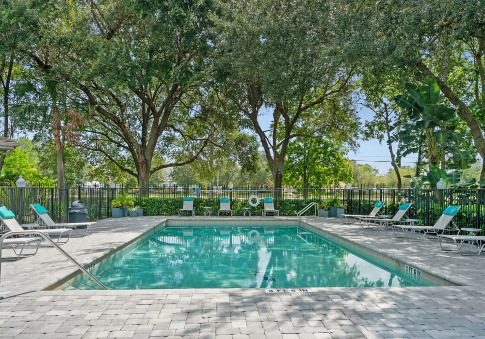Modern pool at The Groves in Port Orange, Florida