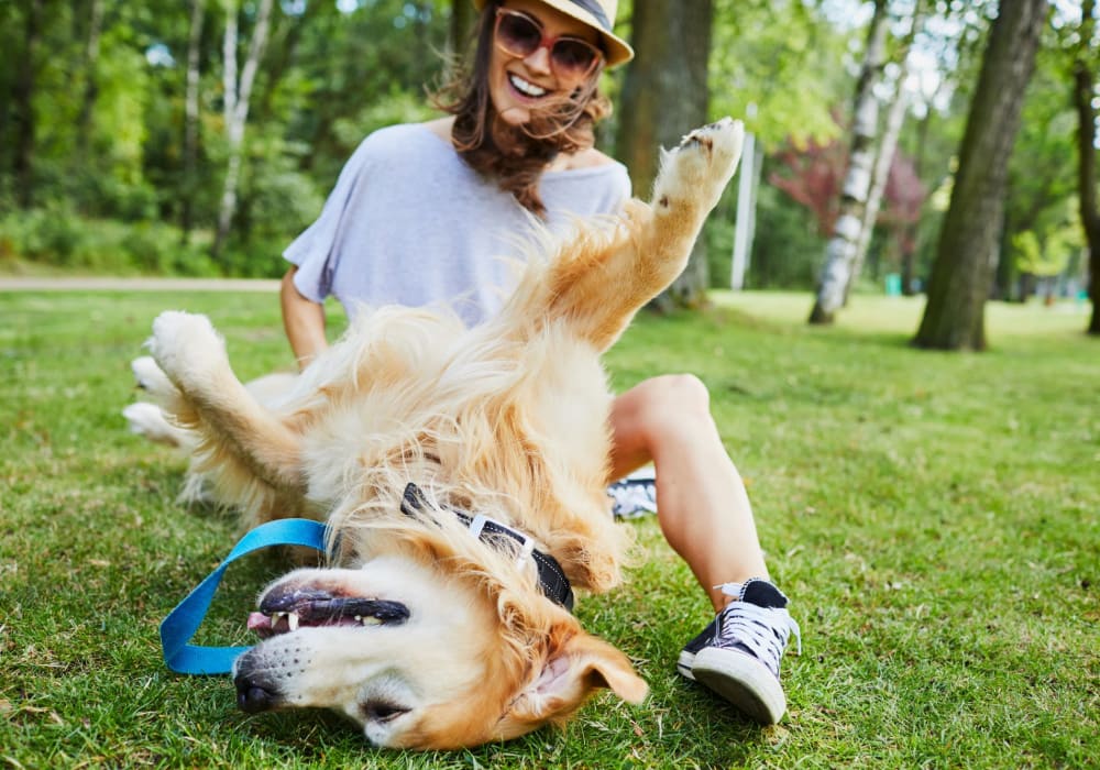 Woman playing with her dog at park near El Macero Apartments in Davis, California